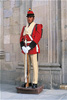 palace guard