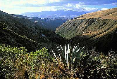 Guayabamba Valley