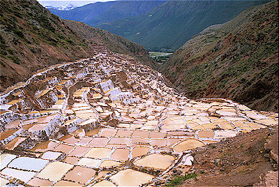Salt Pans  Maras, Peru 