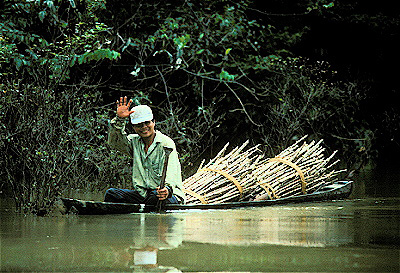 Man in Dugout Canoe With Sugar Cane