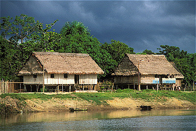Houses on Stilts along Rio Tahuayo
