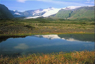 Pond, South Iceland