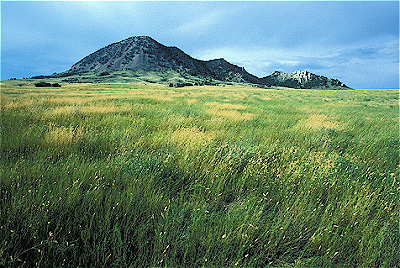 Short Grass Prairie