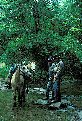 Confederate Watering Horses