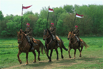 Polish Lancers