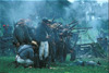 confederate battle line